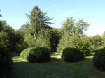 Sterrebos